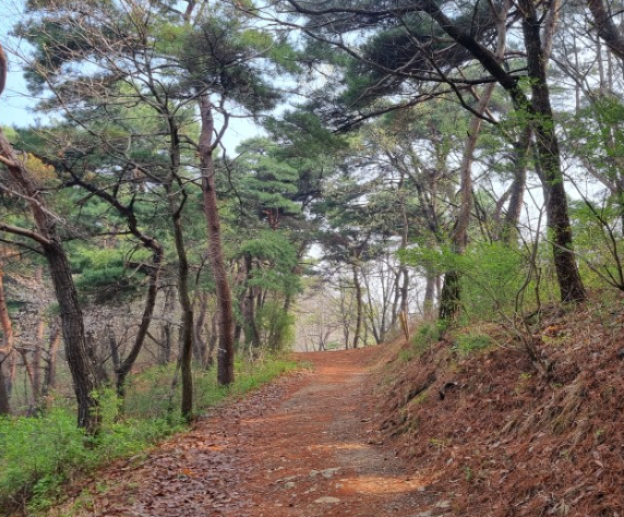 유유베 > 여행/풍경 > 산길