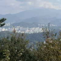 풍경